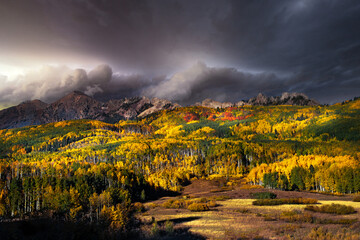 
Changing of the Aspens and Cottonwood tree leaves in the Fall in the Rocky Mountains. Autumn is in full bloom with lots of colors. There are dark contrast clouds in the sky above the mountains.  