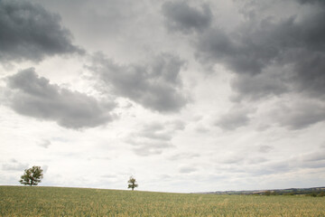 Fototapeta premium countryside of oxfordshire england