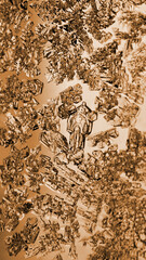 Ice crystals close-up on a window glass in winter. Tinted brown vertical background or phone wallpaper. Frozen water. Mystical fabulous abstract pattern. Strong macro