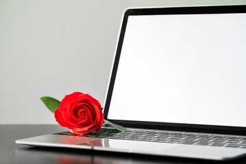 Red rose and the laptop on deck