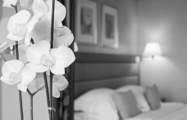 Schlafzimmer in Luxuskabine auf Kreuzfahrtschiff	 - Bedroom with double King or Queen bed and white...