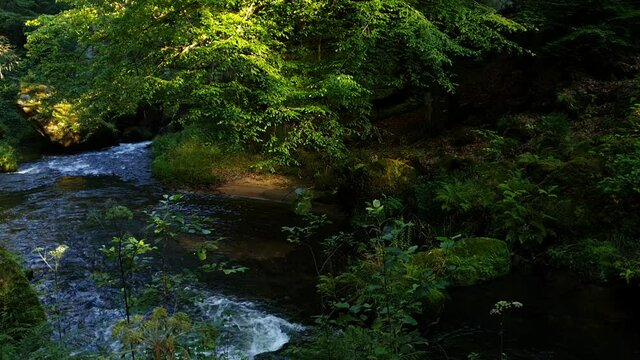 RZEKA W G&Oacute;RACH. CZESKA SZWAJCARIA, WĄW&Oacute;Z EDMUNDA, REPUBLIKA CZESKA 