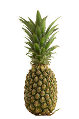 Pineapple on white background. 