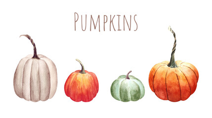 Set of pumpkins on white background. Watercolor illustration