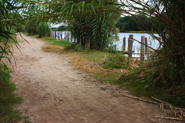 dusty sand path that in the nature of the plants runs along the river water