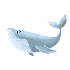 Fish Blue whale sperm whale illustration for children vector