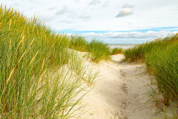 View from dune top near the sea on an island on a sunny day