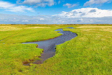 Rural landscape of a meadow with grass on a island in the North Sea, Holland
