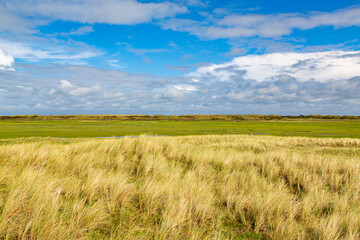 Rural landscape of a meadow with grass on a island in the North Sea, Holland