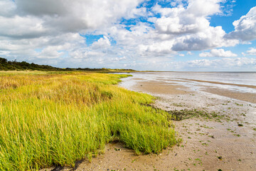 View of the beach near the sea on an island on a sunny day