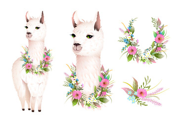 Cute Lama realistic vector character design with wild Flowers. Artistic botanical bohemian animal design, hand drawn lama illustration clip art, vector design in watercolor style. © Popmarleo