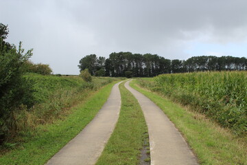 Fototapeta na wymiar an agriculturally used path