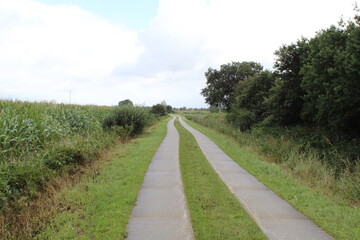Fototapeta na wymiar an agriculturally used path