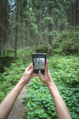 Hiking traveller taking picture of a forest with a smartphone camera.
