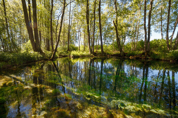 Fototapeta na wymiar Emerald colored freshwater springs. Puhatu allikad (Sacred springs), Saaremaa, Estonia.