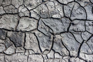 The texture of the soil and dry dirt for the background. The land is in drought.