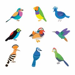 Set of the most beautiful birds on the planet. Vector illustration