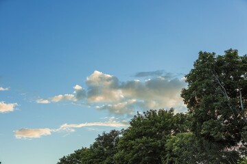 Gorgeous view of cloudy sky over tops of and trees. Gorgeous natural backgrounds.