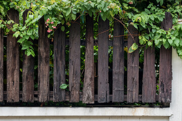 Old and beautiful wooden house fence