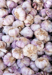 Detail of some garlic in bulk in a street market