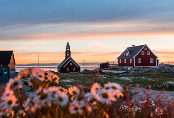 Greenland Ilulissat Sunset Church Flowers Arctic - obrazy, fototapety, plakaty
