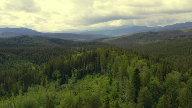 Forest mountains green field hill jungle treen aerial