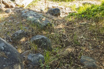 Beautiful natural landscape view. Stone relief covered with green grass and fallen needles.