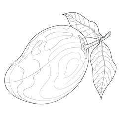 Mango fruit.Coloring book antistress for children and adults. Illustration isolated on white background.Zen-tangle style.