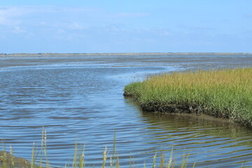 The salt marshes at Neßmersiel, Germany (Wadden Sea)