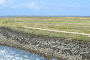 The salt marshes at Neßmersiel, Germany (Wadden Sea)