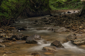 Naklejka na ściany i meble Udava river in national park Poloniny in summer monring near Osadne village
