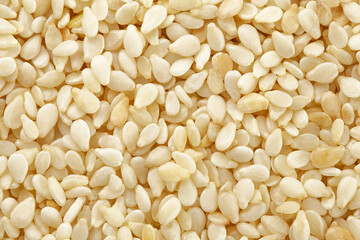 sesame isolated on white background, full depth of field