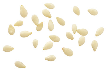 sesame isolated on white background, clipping path, full depth of field