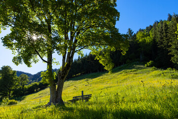 Obraz premium Wunderschöner Sommertag in den Salzburger Alpen