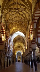 Fototapeta premium interior of the cathedral of st mary in brussels belgium