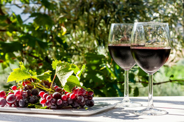 Two wineglass with red wine and ripe pink grapes on white table in the garden in the sunny day.