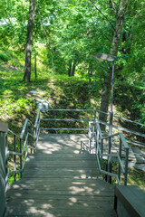 Obraz premium A staircase with wooden steps leading down to the park. Quiet place for walking with the family.