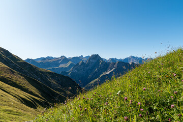 View to the H&ouml;fats the beautiful grass mountain in the Allg&auml;u alps. Located in Germany.