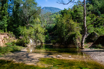 Small rivers in the wooded areas of Alanya. Turkey