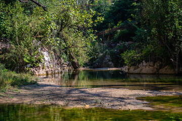 Fototapeta na wymiar Small rivers in the wooded areas of Alanya. Turkey