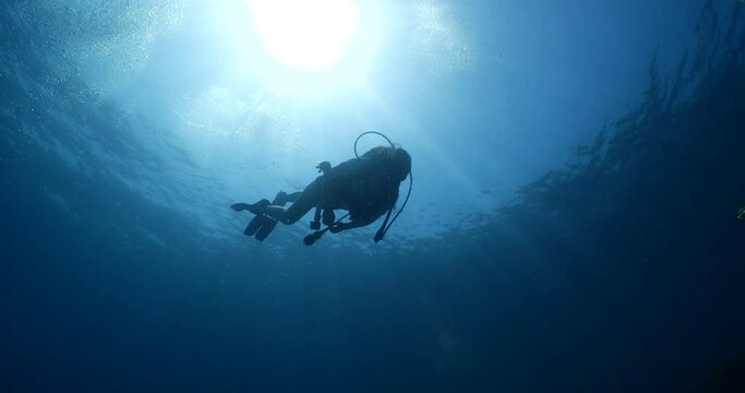 scuba divers coming down descending scenery underwater sun beams and rays sun shine silhouette scenery