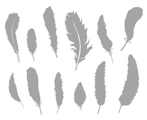 Silhouette of feather on isolated white. Abstract feathers on isolation background. Black and white illustration