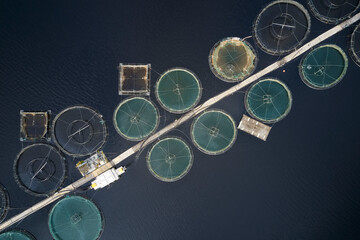 Fish farm salmon round nets in natural environment Loch Awe Arygll and Bute Scotland