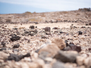 Nature Teide national park Tenerife