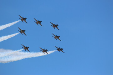 ROKAF Black Eagles (3)