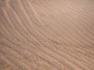 Fototapeta na wymiar Sand beach Playa de la Tejita Tenerife