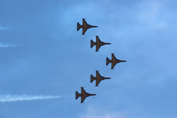 ROKAF Black Eagles (4)