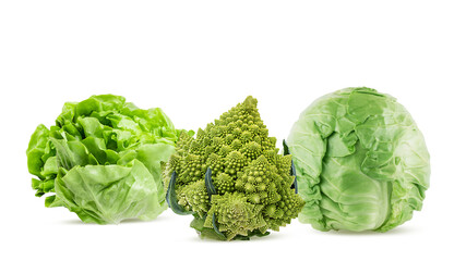 Group of vegetables cabbage, romanesco isolated on white background