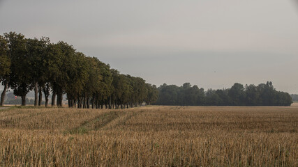 Scanian landscapes in late summer