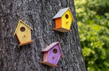 Colorful tiny birdhouses on a tree